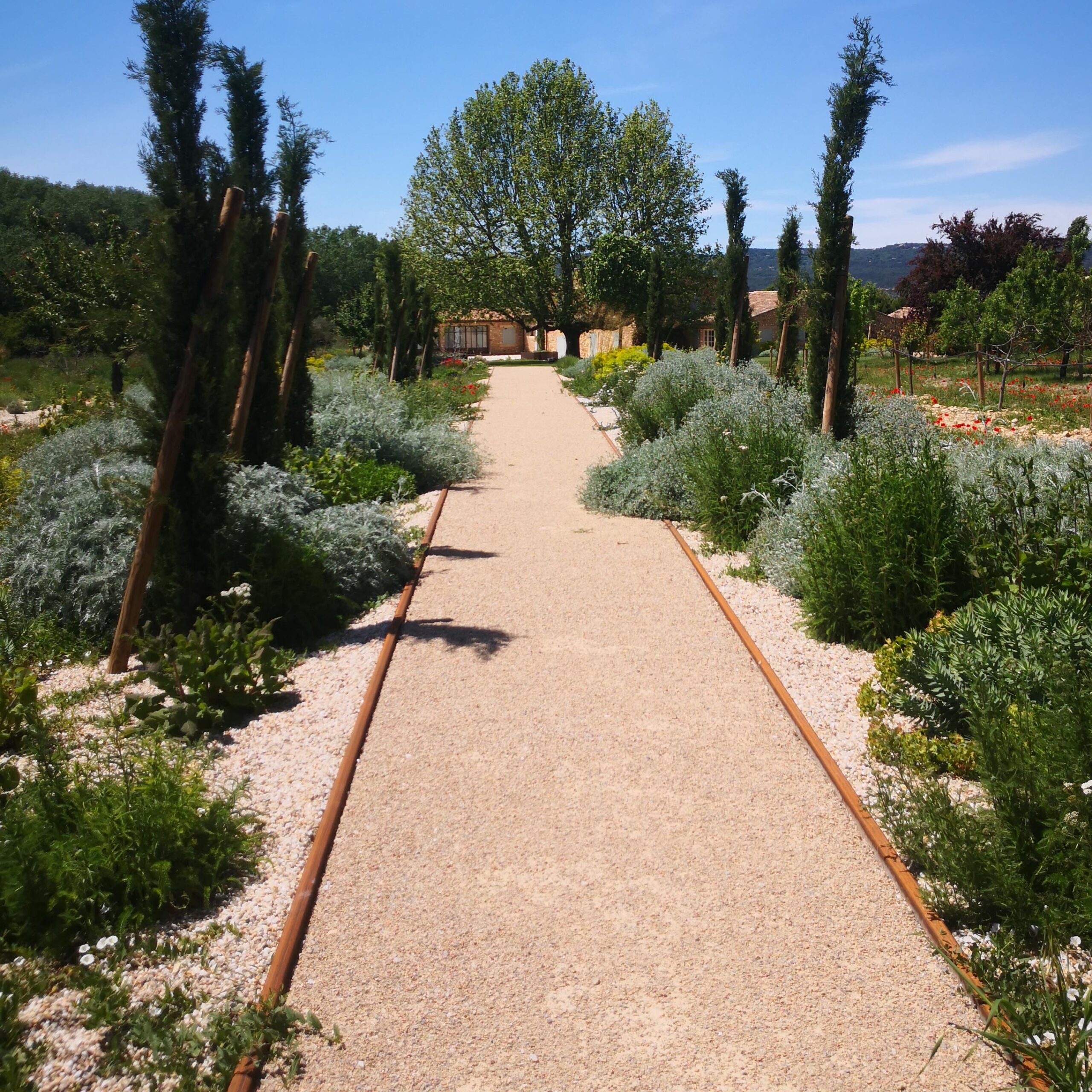 https://www.vincent-grunewald.fr/wp-content/uploads/2023/02/Vincent-GRUNEWALD_jardins-secs-6-scaled.jpg